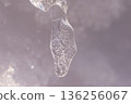 Small ice pillar 136256067