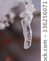 Macro photography of icicles 136256071