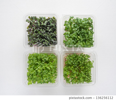 Packed sprouts Packed sprouts 136256112