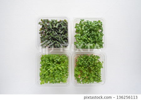包裝好的豆芽 包裝好的豆芽 136256113