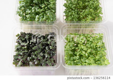 包裝好的豆芽 136256114