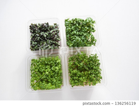 包裝好的豆芽 136256119