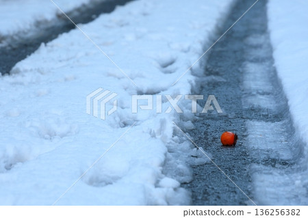 柿子掉落在雪地上 柿子掉落在雪地上 136256382