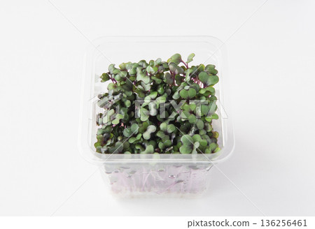 包裝好的紅甘藍芽 136256461