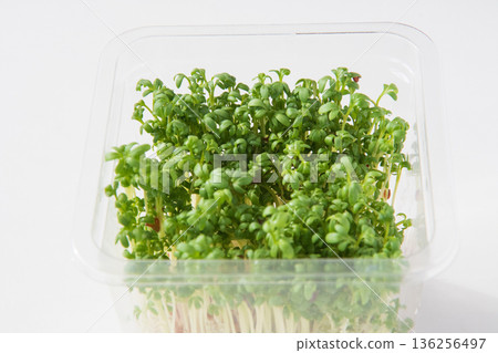 包裝好的豆瓣菜 136256497