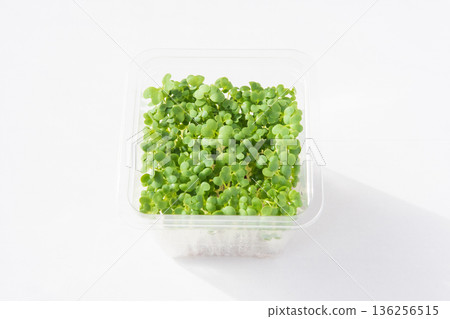 Packed mustard sprouts 136256515