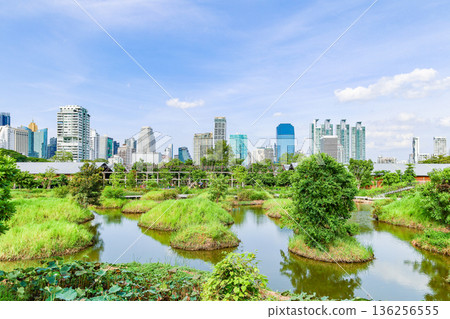 A green urban park A green urban park 136256555