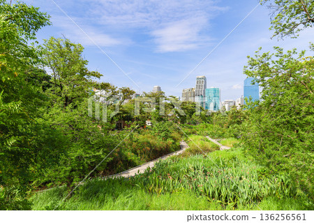 green park scenery green park scenery 136256561
