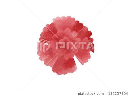 紅色康乃馨插畫，水彩風格 136257504