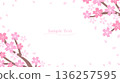 Simple cherry blossom branch frame 136257595