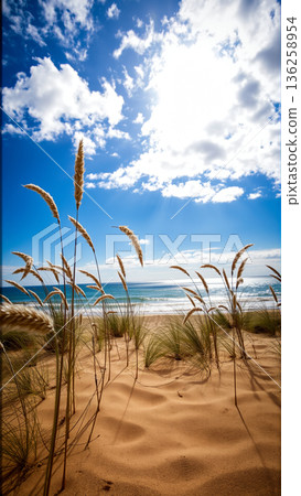 golden grass grows on the sandy seashore 136258954