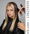 A woman with blonde and brown hair is getting her hair cut by a stylist 136259395