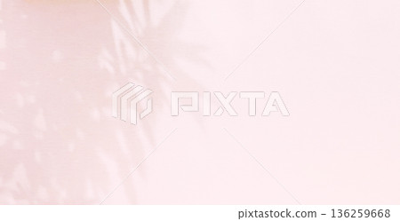 Plants, shadows, light, sunlight, sunlight filtering through the trees 136259668