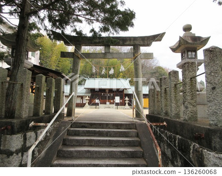 Iwakuni City, Yamaguchi Prefecture! The torii gate and worship hall of Iwakuni Gokoku Shrine Iwakuni City, Yamaguchi Prefecture! The torii gate and worship hall of Iwakuni Gokoku Shrine 136260068