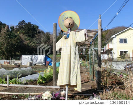 稻草人站在田裡 稻草人站在田裡 136260114