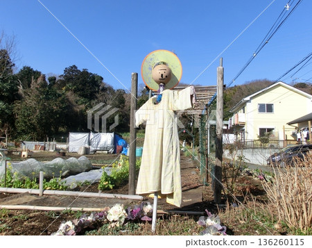 稻草人站在田裡 稻草人站在田裡 136260115