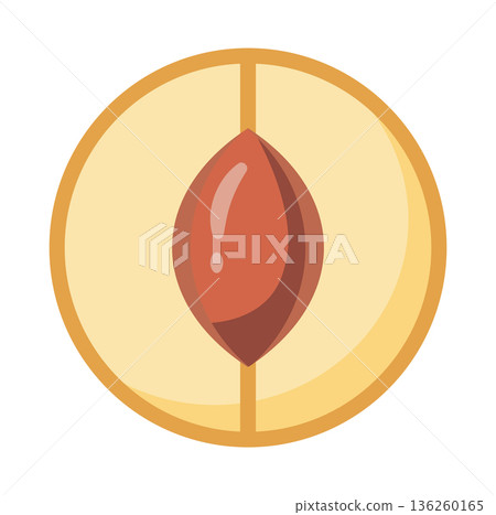 Cross-section of a peach showing the pit and flesh, in a simple, clean illustration style. Cross-section of a peach showing the pit and flesh, in a simple, clean illustration style. 136260165