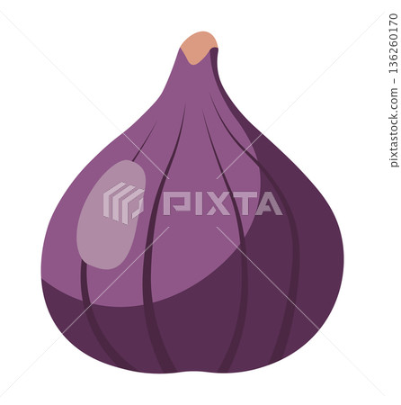Stylized illustration of a purple fig with shaded segments and a light brown tip, on white. Stylized illustration of a purple fig with shaded segments and a light brown tip, on white. 136260170