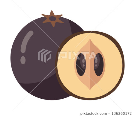 A whole plum and a halved plum showing its seed, in a flat design illustration style. A whole plum and a halved plum showing its seed, in a flat design illustration style. 136260172
