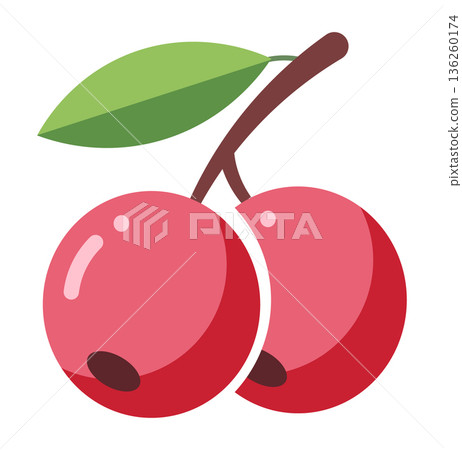Two ripe red cherries with stems and leaves, illustrated in a simple, clean style on white. Two ripe red cherries with stems and leaves, illustrated in a simple, clean style on white. 136260174