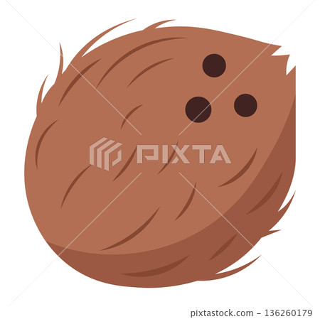 Simple illustration of a brown coconut with three dark eyes, isolated on a white background. 136260179