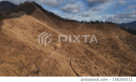 Susuki Fields of Mount Koza, Fujiyoshida City, Yamanashi Prefecture, Japan 136260511