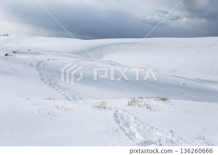 Image of snowshoe trekking Snow scene of Tottori Sand Dunes Image of snowshoe trekking Snow scene of Tottori Sand Dunes 136260666