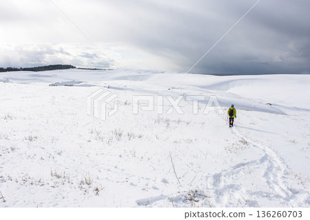 雪鞋徒步旅行的形象 鳥取沙丘的雪景 136260703