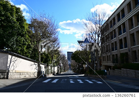 神戶旅遊景點和歷史建築的異國冬季景色 神戶旅遊景點和歷史建築的異國冬季景色 136260761
