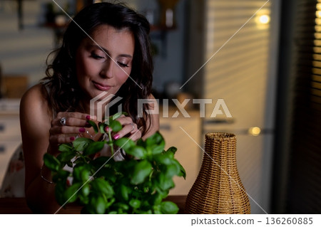 Closeup of hands pruning herb plant, Indoor scene with woman tending aromatic basil plant carefully, Relaxed woman gently trimming basil leaves on wooden table at night Closeup of hands pruning herb plant, Indoor scene with woman tending aromatic basil plant carefully, Relaxed woman gently trimming basil leaves on wooden table at night 136260885