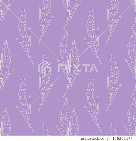 Pattern with white outline of lavender flowers in Provencal style on lilac pastel background. Pattern with white outline of lavender flowers in Provencal style on lilac pastel background. 136261174