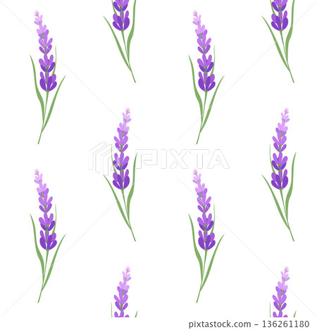 lavender flower pattern with Provencal feel. On white background. lavender flower pattern with Provencal feel. On white background. 136261180