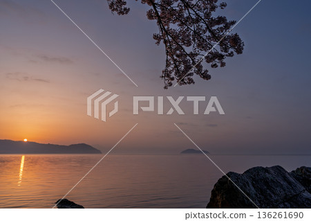 Photographed cherry blossoms and Chikubu Island in Takakaizu Osaki, Takashima City, Shiga Prefecture Photographed cherry blossoms and Chikubu Island in Takakaizu Osaki, Takashima City, Shiga Prefecture 136261690