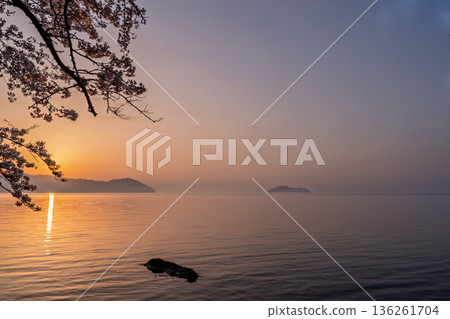 Photographed cherry blossoms and Chikubu Island in Takakaizu Osaki, Takashima City, Shiga Prefecture Photographed cherry blossoms and Chikubu Island in Takakaizu Osaki, Takashima City, Shiga Prefecture 136261704