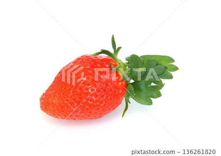 Freshly picked strawberries (Yayoihime) 136261820