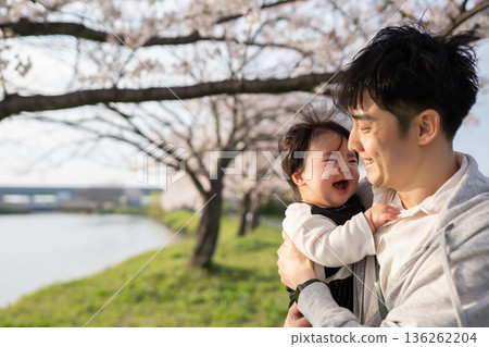 櫻花盛開的道路，笑容滿面的父親和寶寶 136262204