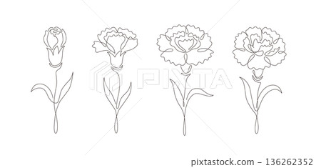 Carnation line drawing illustration set: from bud to full bloom. Vector material with adjustable line width. Carnation line drawing illustration set: from bud to full bloom. Vector material with adjustable line width. 136262352