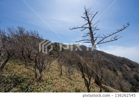 Mount Tsurugi, Tokushima Prefecture Mount Tsurugi, Tokushima Prefecture 136262545