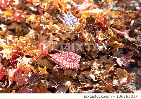 Fallen autumn leaves and folded paper cranes on the ground Fallen autumn leaves and folded paper cranes on the ground 136263017