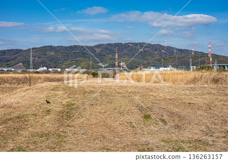 Udono reed field, Takatsuki City, Osaka Prefecture Udono reed field, Takatsuki City, Osaka Prefecture 136263157