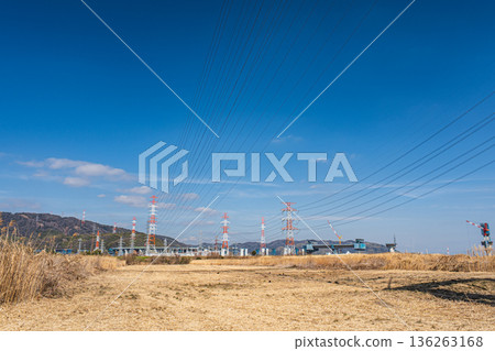 大阪府高槻市淀川右岸，蘆葦蕩綿延不絕。 136263168