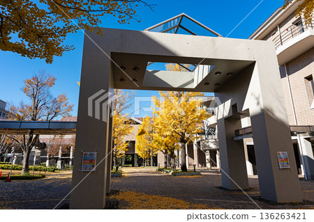 穿過東京都立大學的大門,地址:東京都八王子市南大澤 穿過東京都立大學的大門,地址:東京都八王子市南大澤 136263421
