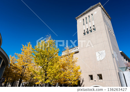 Ginkgo trees and tower at Tokyo Metropolitan University, Minami-Osawa, Hachioji, Tokyo Ginkgo trees and tower at Tokyo Metropolitan University, Minami-Osawa, Hachioji, Tokyo 136263427