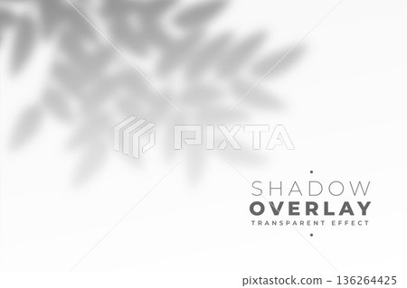shadow overlay of leafs on gray background 136264425