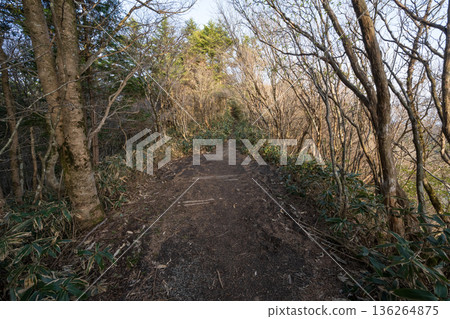 攀登愛媛縣石槌山 136264875