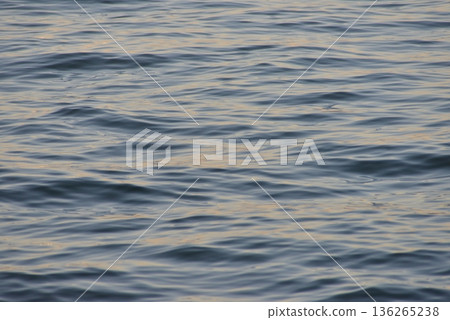 Wave Wave 136265238