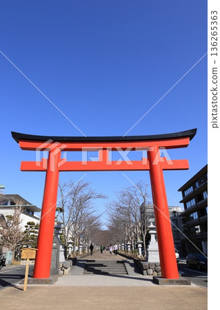 The Dankuzu Torii Gate of Tsurugaoka Hachimangu Shrine The Dankuzu Torii Gate of Tsurugaoka Hachimangu Shrine 136265363