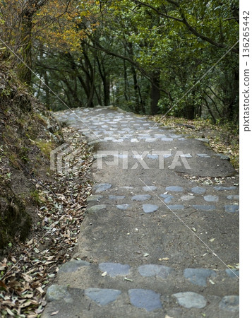 沿著山路建造的階梯的景色 沿著山路建造的階梯的景色 136265442