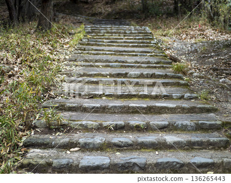 沿著山路建造的階梯的景色 沿著山路建造的階梯的景色 136265443