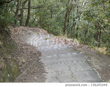 沿著山路建造的階梯的景色 沿著山路建造的階梯的景色 136265444